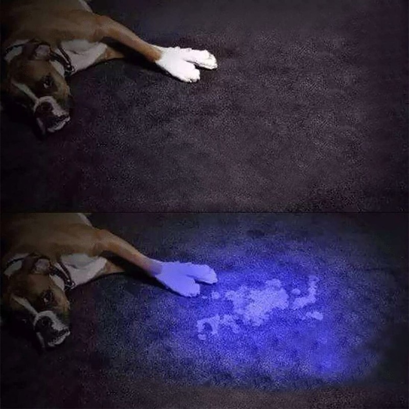 LIGHTFE Blacklight UV Flashlight 365nm UV301D for UV Glue Curing,