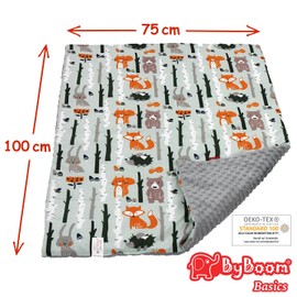 ByBoom Basics Baby Blanket 75 x 100 cm, Oeko-Tex, Double-Sided, Fluffy Cuddly First Blanket with Cotton and Minky Side, Extra Soft, Made in EU