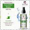 Passion Indulge Cucumber Water Skin Toner For Face - 100