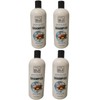 Salon Pro Lot Of 2 Pro Silk Salon Shampoo Moroccan