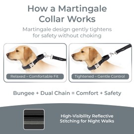 PAWZPAL No-Pull Dog Leash & Martingale Collar Set – Shock-Absorbing Bungee with Dual Padded Handles, No-Choke Training Collar, Reflective for Safe Walks & Training (Black|S)