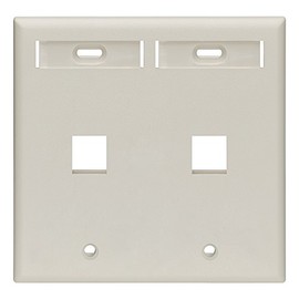 Leviton 2-Port Dual Gang QuickPort Wallplate with ID Windows, 42080-2TP, Light Almond