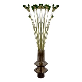 Bergamo Art Bundle of 4 Dried Gomphrena Globosa 22-24" long in Dark Green