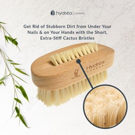 Hydréa London Premium & Stylish Dual sided Nail Brush with Natural Bristles (Medium Strength) FSC Certified Beechwood