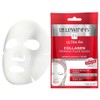 Dr. LeWinn's Plump + Lift Collagen Plumping Face Mask 1Pc