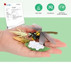Volnau Animal Figurines Toys 16PCS Life Cycle Figure Set for Toddlers Kids Dragonfly Mantis Ant Cicada Decorations Preschool Educational Prop