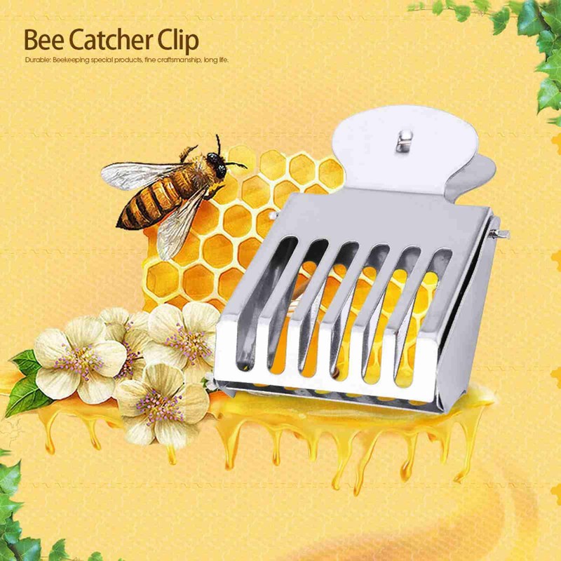 Zerodis, Stainless Steel Queen Bee Keeper Beekeeping Equipment Beekeeper Clip,