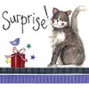 Alex Clark Surprise Birthday Cat Card