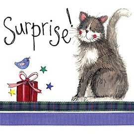 Alex Clark Surprise Birthday Cat Card