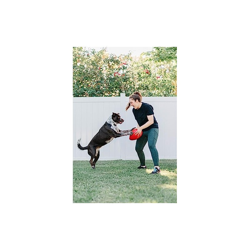 Jolly Pets Jolly Egg Dog Toy, 12 Inches/Large, Yellow