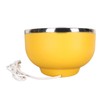 450ML Pet Heated Bowl Stainless Steel Water Heating Bowl USB