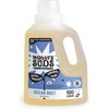 Molly's Suds Liquid Laundry Detergent | Clean Laundry Detergent Soap