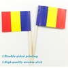JBCD Romania Toothpick Flag Romanian Mini Small Cupcake Topper Flags,
