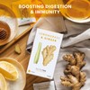 Nutra Tea - Lemongrass & Ginger Tea - 60 Tea