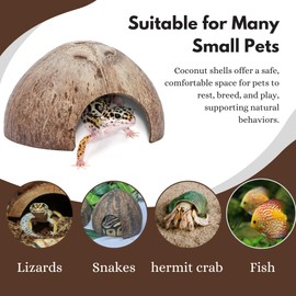 Favozio Natural Coconut Shell Hideout Cave, 5" Aquarium Fish & Reptile Hide Cave, Leopard Gecko Tank Accessories, Crested Geckos, Hermit Crabs, Spider, Snails & Small Lizards Climbing Toy & Decor