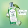 Bioré Clean Detox Toner, for Normal to Combination Skin, Alcohol