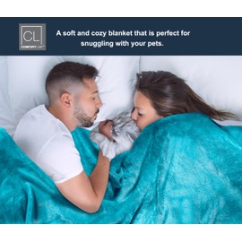 Comfort Lab Plush Flannel Bed Blanket - Soft, Lightweight, Fleece Blanket for Couch, Bed & Home Decor - Anti Pilling and Non Shedding Fleece Bed Blanket - Full/Queen (90" x 90") - Teal