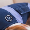 Anxiety Relief & Calming Thunder Vest for Dogs – Drug-Free