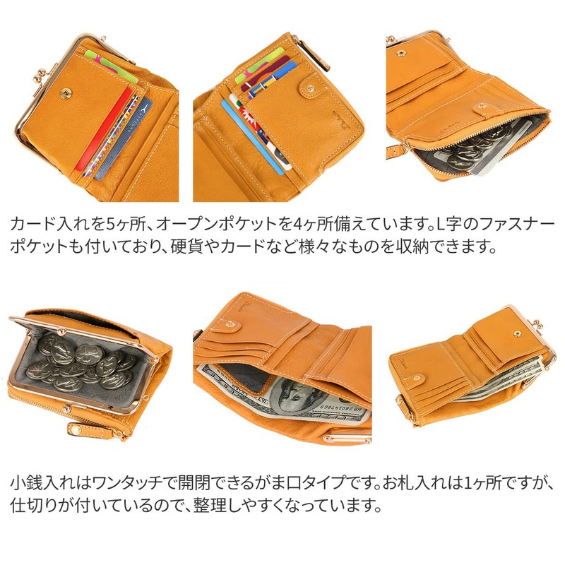 Dakota DA-35180 Women's Bifold Wallet, Genuine Leather, green