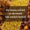 LPWML Bee Ognevka Life Product of Wax Moth Larvae All-Natural