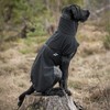 Back on Track Bark All-Round Dog Coat 45cm Black