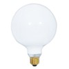 Satco S3003 120-Volt 100-Watt G40 Medium Base Light Bulb, Gloss