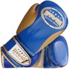 Farabi Kids Boxing Gloves Shiny Champ Training Gloves 2oz 4oz