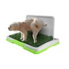 Fancy Pets Tapete Entrenador Doggie Grass para Perros Machos de