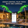 Innonly 7FT Lighted Palm Tree for Outside Patio, APP &
