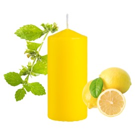 Citronella Duftkerzen, 140 g, 25 Stunden Brenndauer, natürlicher Duft, ideal für Garten, Terrasse, Camping und Grillen, 11 x 4,7 cm, 4 Stück
