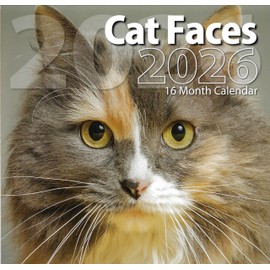 2026 Cat Faces Full Size Wall Calendar for Planning, Scheduling, and Organizing