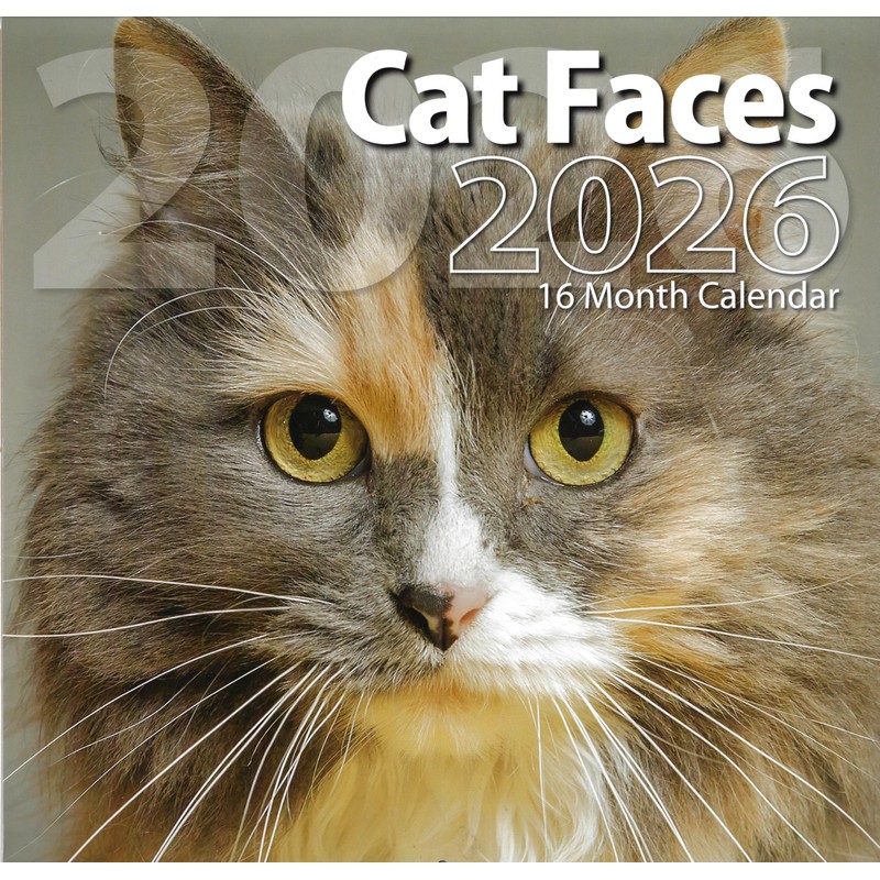 2026 Cat Faces Full Size Wall Calendar for Planning, Scheduling,