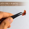Taiyin 14 Pieces Insect Specimen Tools Kit Insect Display Case