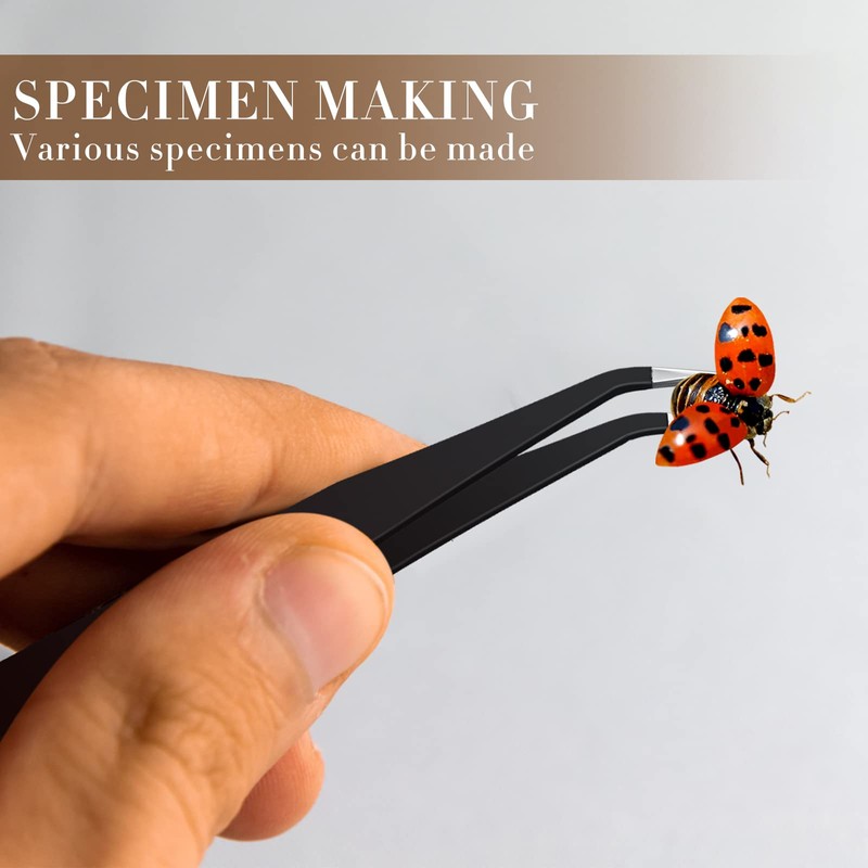 Taiyin 14 Pieces Insect Specimen Tools Kit Insect Display Case