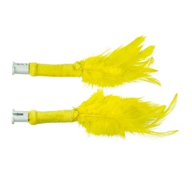 Peek-A-Bird Cat Toy Replacement Feathers – 2 Pack Refill Parts – Interactive Teaser Toy for Indoor Cats