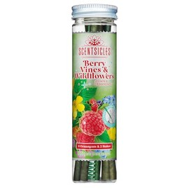 Scentsicles Adornos navideos Varitas aromticas de bayas y flores silvestres con 2 estacas para aromatizar - 1 botella (6 varitas en total)            