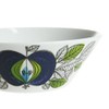 Rollstrand Eden 73-2006-210136-5 Bowl, 20.2 fl oz (600 cc)