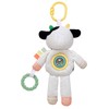 Plush 10 inch Plush Activity Toy with Teethers, Crinkle, Spinner
