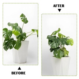 DOAGEAS 5PCS Plant Stem Support, Climbing Houseplant Stem Supports, Durable Monstera Stabilizer Grapple Holder, Monstera Plant Support, Plant Stem Holders, Ideal Plant Support for Thriving Growth