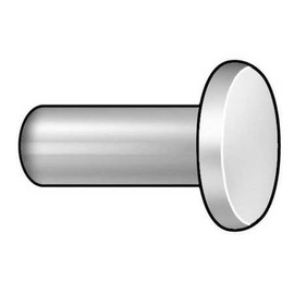 Rivet, Flat, 3/16 Dia, 1/2 in L, PK100