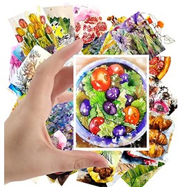 Large Stickers 24 pcs (2.5"x3.5" Each) Food and Flowers Watercolor Sketch Vintage Postcards Book Illustrations Reprint