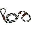 Lone Wolf Slip Lead with Leash and Collar for Pets,
