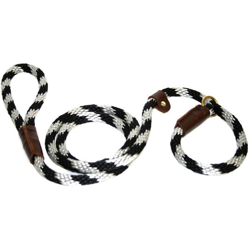 Lone Wolf Slip Lead with Leash and Collar for Pets,
