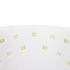 Professional Gel Polish Dryer UV LED Dual Light Sources Nail
