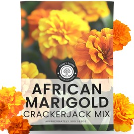 African Marigold Crackerjack - Large 2,500mg Envelope - 500 Flower Seeds for Planting - Tagetes erecta