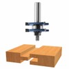 Bosch 84623M 1-7/8 in. x 1/4 in. Carbide Tipped Tongue
