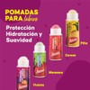 Jaloma Pomada Labial Varios Sabores Vitrolero, 60 Piezas, Pack of