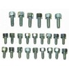 Racing Power Company R0008 Oil Pan Bolt Kit for Small