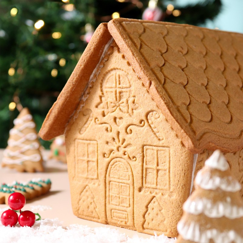 PME CH24CCC102 Christmas Cookie Cutters & Stamps, Gingerbread House (Set