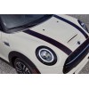 The Pixel Hut Black w/Red Hood Stripe Decals for Mini
